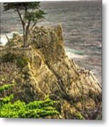 Lone Cypress On The Monterey Peninsula - No. 1 Looking Across Carmel Bay Spring Mid-afternoon Metal Print