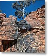 Lone Ghost Gum At Petermann Hills Metal Print