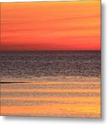 Lone Gull On Tidal Flat Cape Cod Sunset Metal Print