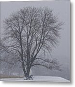Winter In Valley Forge Metal Print