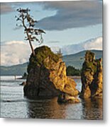 Lone Tree On A Rock At Sunset Metal Print