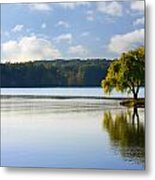 Lone Tree On The River Metal Print