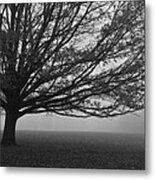 Lonely Low Tree Metal Print