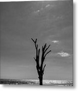 Long Shadow On Jekyll Island In Black And White Metal Print