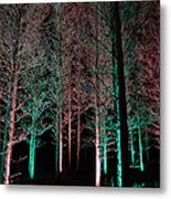 Longwood Gardens - Tree Walk At Night Metal Print