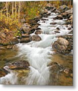 Looking Upstream Metal Print