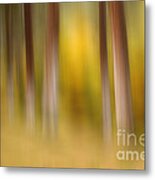 Lost In Autumn Metal Print