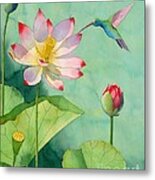 Lotus And Hummingbird Metal Print