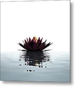 Lotus Flower Floating On The Water Metal Print