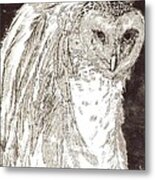 Love Owl Metal Print