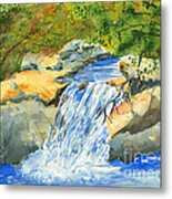 Lower Burch Creek Metal Print