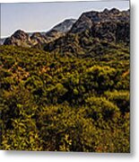 Lush Foothills No.1 Metal Print