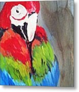 Macaw 2 Metal Print
