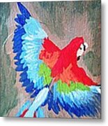 Macaw In Flight Metal Print