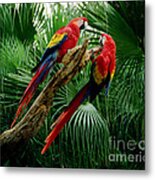 Macaws Metal Print