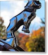 Mack Bulldog Metal Print