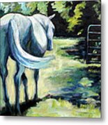 Maggie The Horse In The Pasture Metal Print