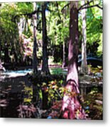 Magnolia Gardens South Carolina Metal Print