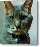 Majestic Meow Metal Print