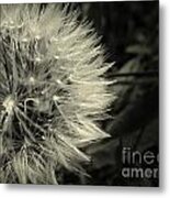 Make A Wish Metal Print