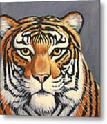 Malayan Tiger Portrait Metal Print