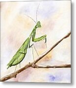 Mantis Metal Print