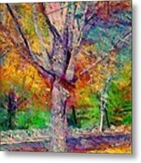 H Maple Tree In Autumn - Horizontal Metal Print
