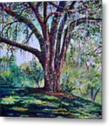 Marcus Oak Metal Print