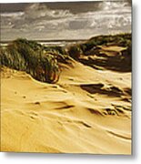 Marram Grass On The Beach, Sands Metal Print