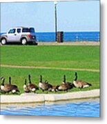 Martha Vineyard Metal Print