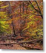 Maryland Country Roads - Autumn Colorfest No. 8 - Catoctin Mountains Frederick County Md Metal Print