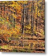 Maryland Country Roads - Reflection Amidst The Colorful Noise No. 1 - Catoctin Mountains Metal Print