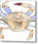 Maryland Crab Metal Print