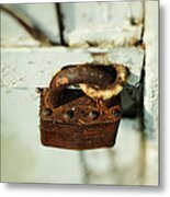 Master Lock Metal Print