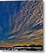 Masterpiece By Nature Metal Print