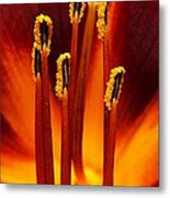 Match Flame Metal Print