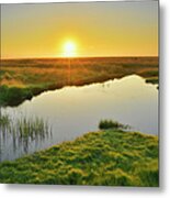 Meadow With Pond At Sunrise Metal Print