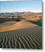 Mesquite Dunes Metal Print