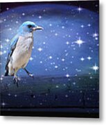 Mexican Blue Jay Metal Print