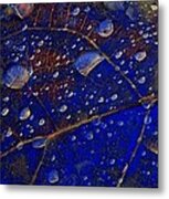 Micro Worlds Metal Print