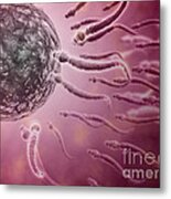 Microscopic View Of Sperm Swimming Metal Print
