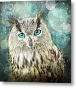 Midnight Owl Metal Print