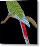 Military Macaw Metal Print