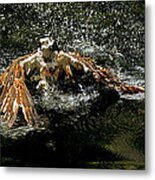 Missed Catch Metal Print