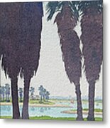 Mission Bay Park With Palms Metal Print