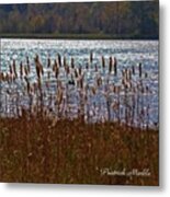 #mississippi #nature #lake #beautiful Metal Print