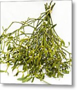 Mistletoe Metal Print