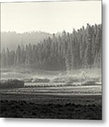 Misty Morning In Yosemite Sepia Metal Print