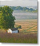 Misty Morning Metal Print