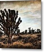 Mojave Desert Joshua Tree Metal Print